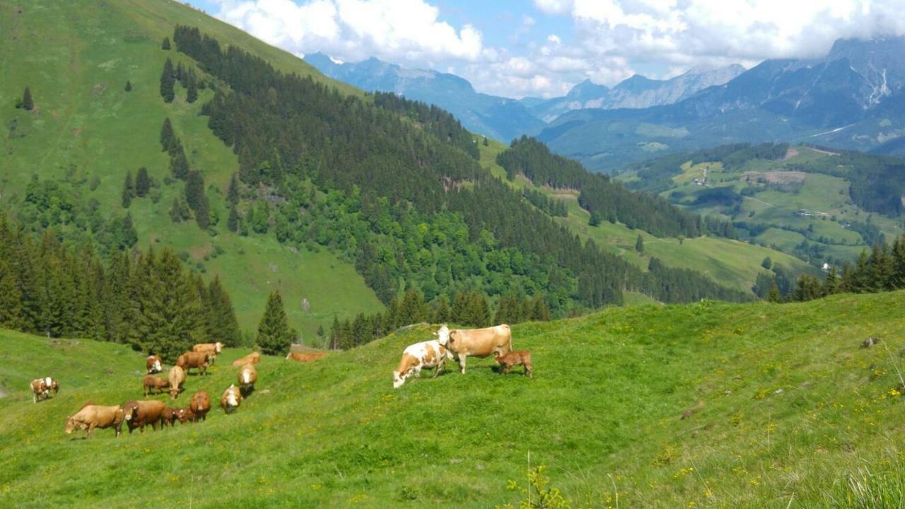 Apartamento Biobauernhof Jagglhof Saalfelden Exterior foto